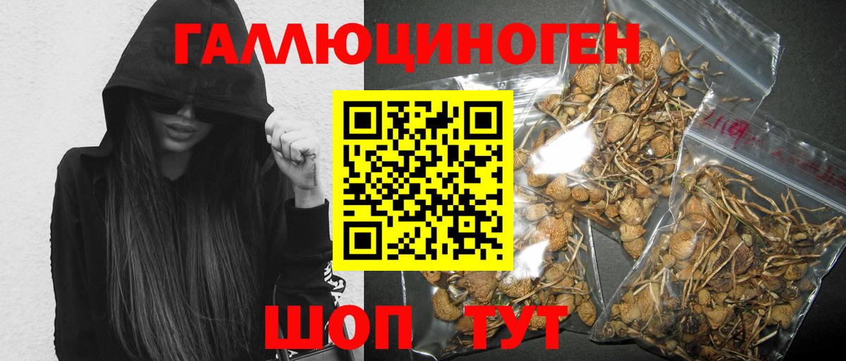 Красноперекопск  Псилоцибиновые грибы GOLDEN TEACHER  Вход с VPN 